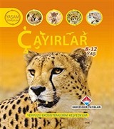 Çayırlar