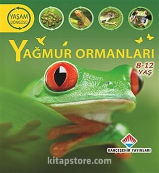 Yağmur Ormanları