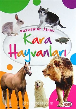 Kara Hayvanları / Hayvanlar Alemi