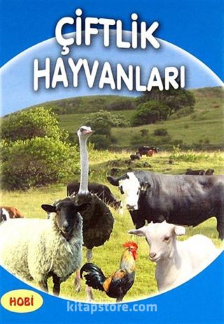 Çiftlik Hayvanları