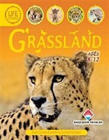 Grassland