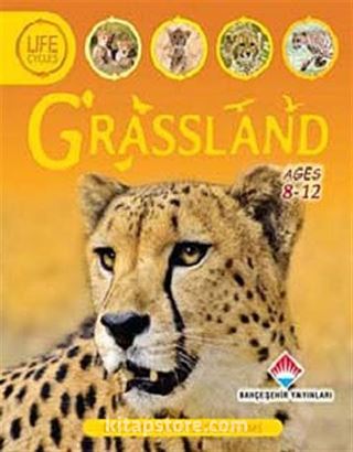 Grassland