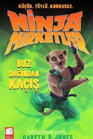 Ninja Mirketler -3 Buz Dağından Kaçış