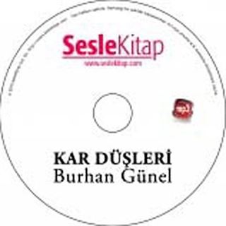 Kar Düşleri