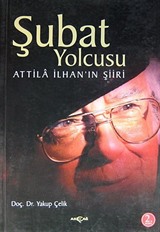 Şubat Yolcusu