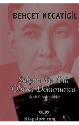 Solgun Bir Gül Oluyor Dokununca