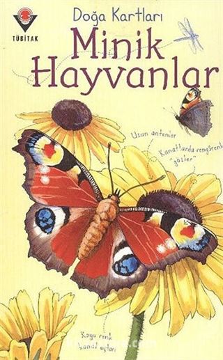 Doğa Kartları / Minik Hayvanlar