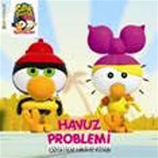 Havuz Problemi