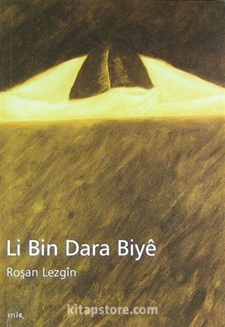 Li Bin Dara Biye