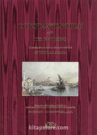 Constantinople and its Environs