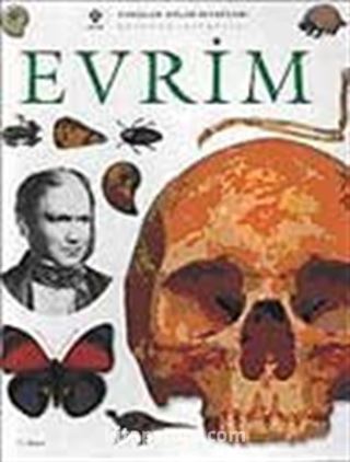 Evrim