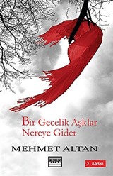 Bir Gecelik Aşklar Nereye Gider