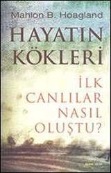 Hayatın Kökleri