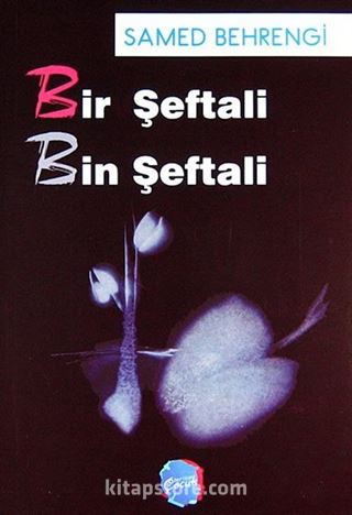 Samed Behrengi Hikayeleri (10 Kitap)