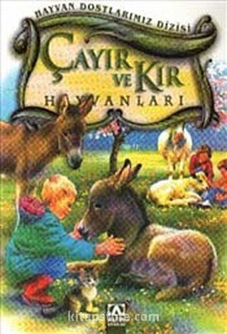 Çayır ve Kır Hayvanları / Hayvan Dostlarımız Dizisi