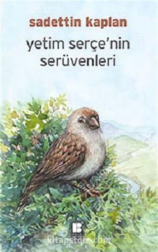 Yetim Serçe'nin Serüvenleri