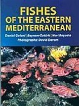 Fishes Of The Eastern Mediterranean