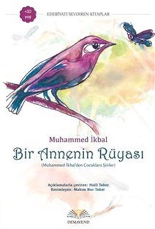 Bir Annenin Rüyası