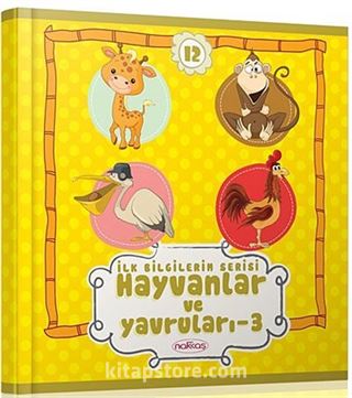 İlk Bilgilerim Serisi / Hayvanlar ve Yavruları -3