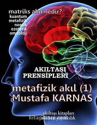 Metafizik Akıl -1