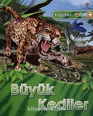 Büyük Kediler / Kaşifler