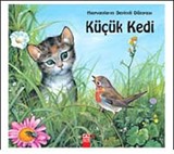 Küçük Kedi