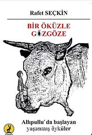 Bir Öküzle Gözgöze