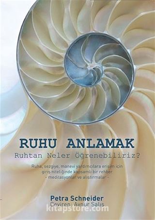 Ruhu Anlamak