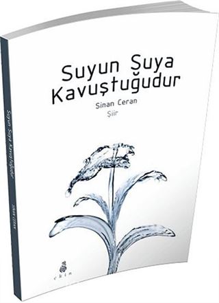 Suyun Suya Kavuştuğudur