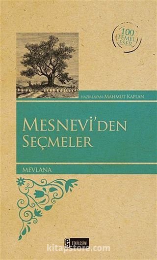 Mesnevi'den Seçmeler (Kenar Boyalı) / 100 Temel Eser