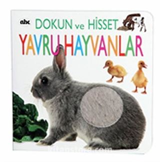 Yavru Hayvanlar - Dokun ve Hisset