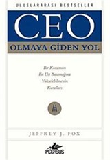 Ceo Olmaya Giden Yol