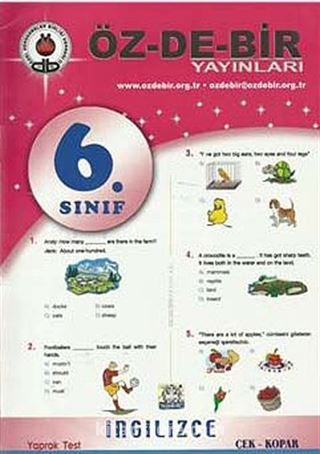 6. Sınıf İngilizce Yaprak Test