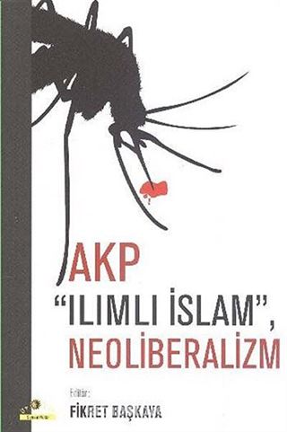 AKP Ilımlı İslam, Neoliberalizm