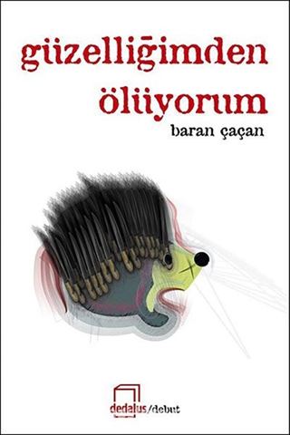 Güzelliğimden Ölüyorum