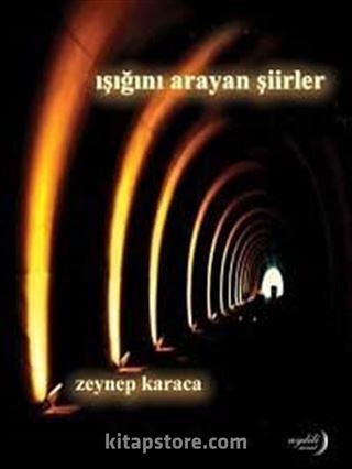 Işığını Arayan Şiirler