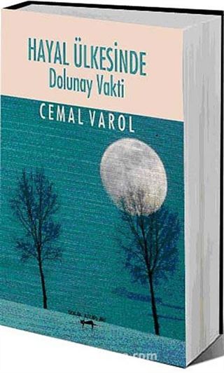 Hayal Ülkesinde Dolunay Vakti