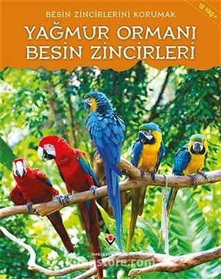 Yağmur Ormanı Besin Zincirleri