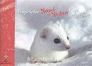 Hayvanlar Nasıl ve Neden Kışa Hazırlanır?