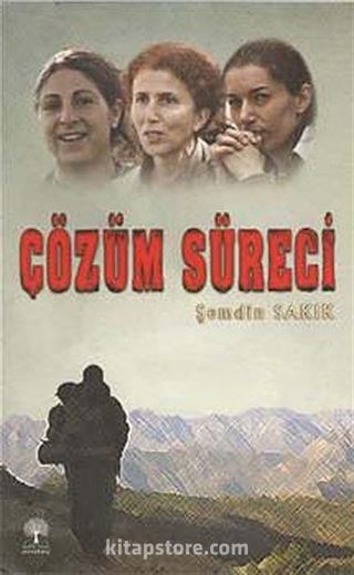 Çözüm Süreci