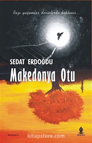 Makedonya Otu