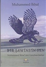 Bir Şahinsin Sen