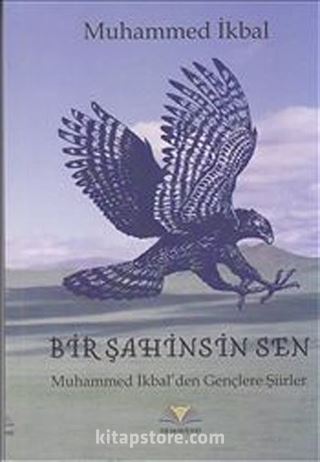 Bir Şahinsin Sen