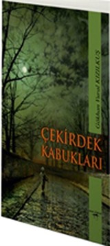 Çekirdek Kabukları