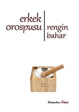 Erkek Orospusu