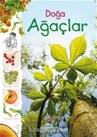 Doğa / Ağaçlar