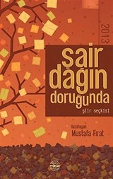 Şair Dağın Doruğunda 2013