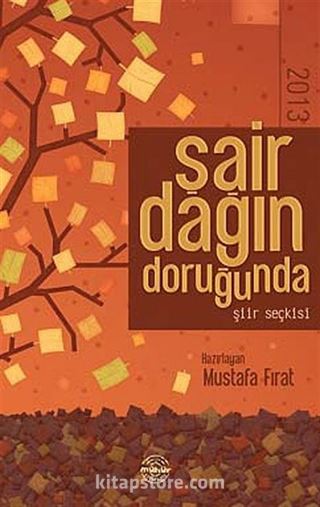 Şair Dağın Doruğunda 2013