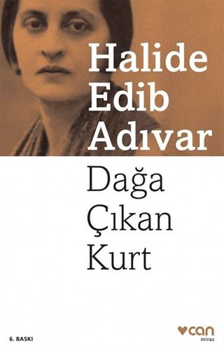 Dağa Çıkan Kurt