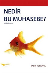 Nedir Bu Muhasebe?